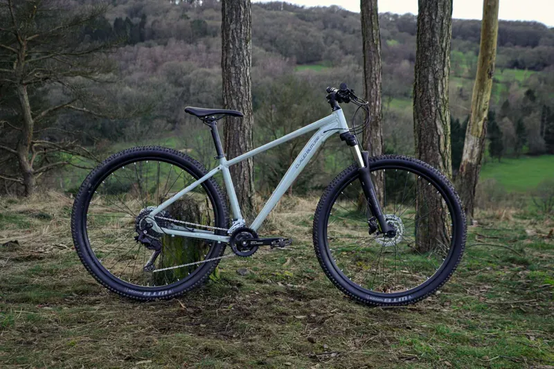 Claud Butler Alpina 1.0 29er MTB in Grey-2