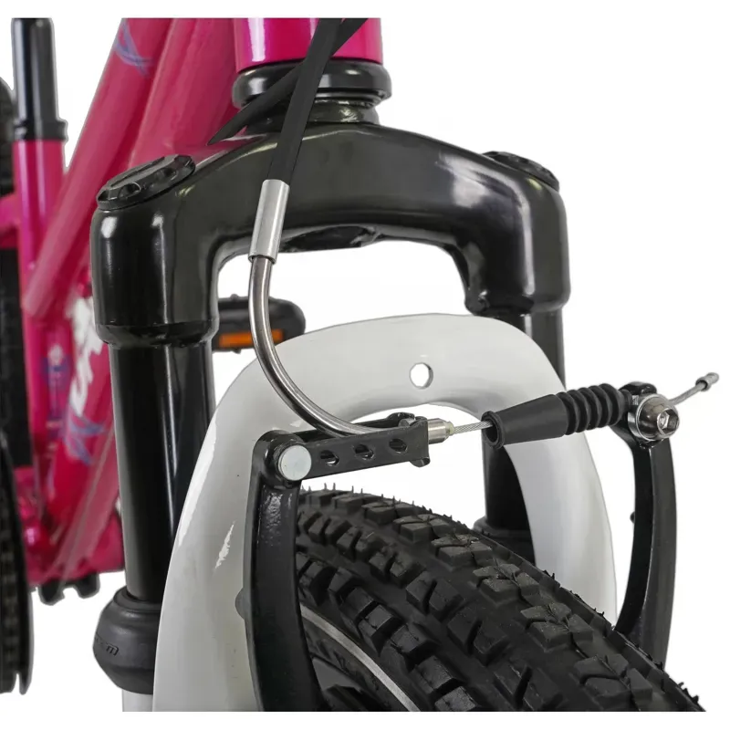 Dawes Kids 20in Paris HT Mountain Bike in Pink-6