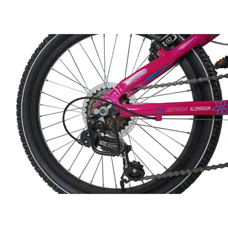 Dawes Kids 20in Paris HT Mountain Bike in Pink-7