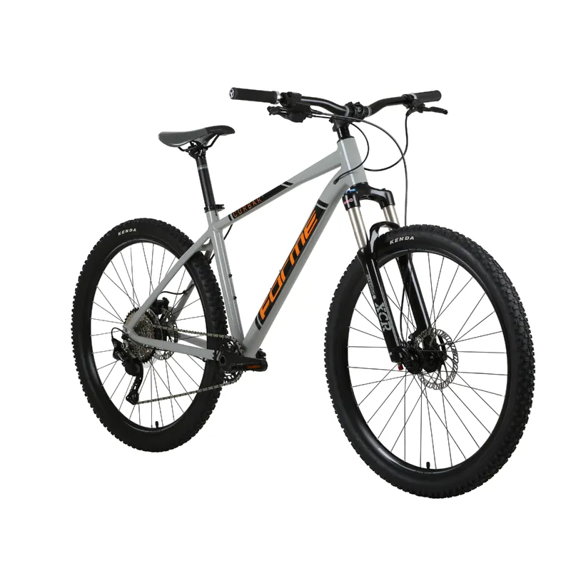2019 Forme Curbar 1 Mountain Bike in Grey-1