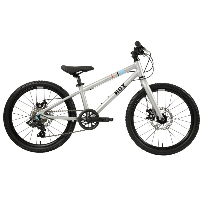 Hoy Pentland 20in Kids Bike in Titanium Silver