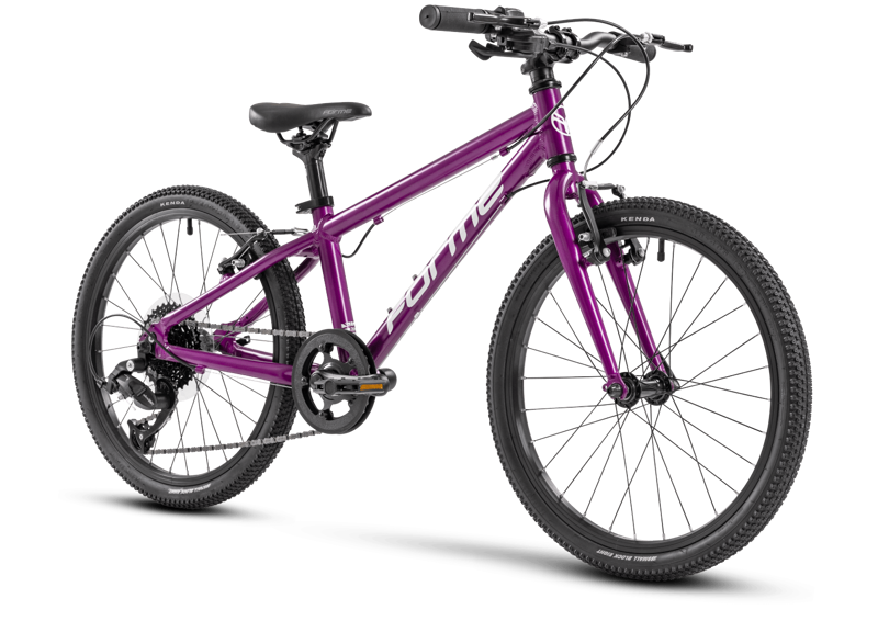 Forme Bamford Junior Mountain Bike 20 Inch in Purple-1