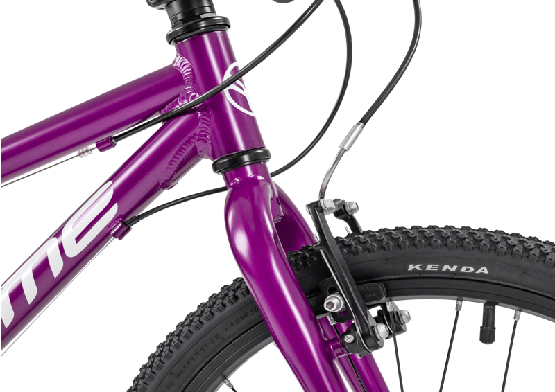 Forme Bamford Junior Mountain Bike 20 Inch in Purple-4