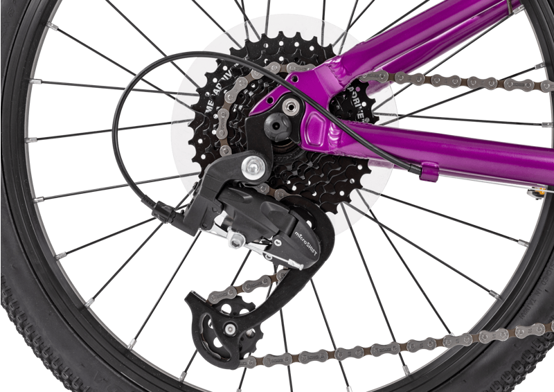 Forme Bamford Junior Mountain Bike 20 Inch in Purple-5