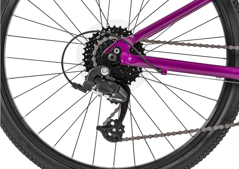 Forme Bamford Junior Mountain Bike 24 inch Wheel in Purple-4