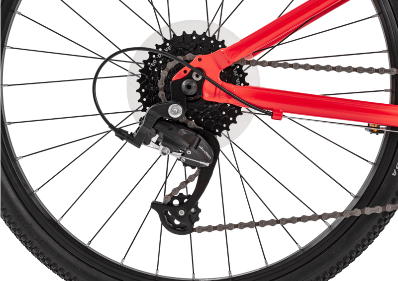 Forme Bamford Junior Mountain Bike 24 inch in Red-2