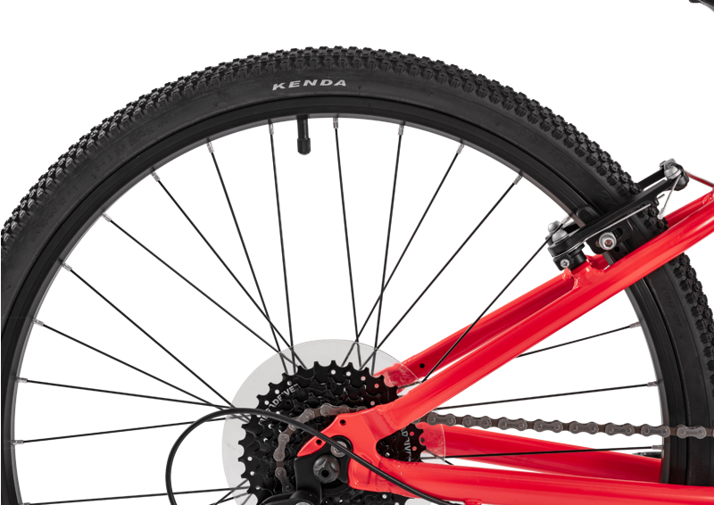 Forme Bamford Junior Mountain Bike 24 inch in Red-4