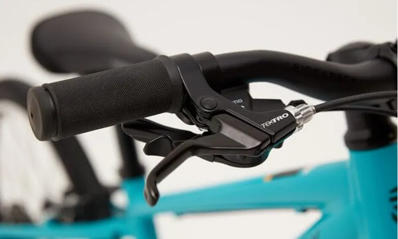 Ridgeback Dimension 20 Kids Bike in Teal-2