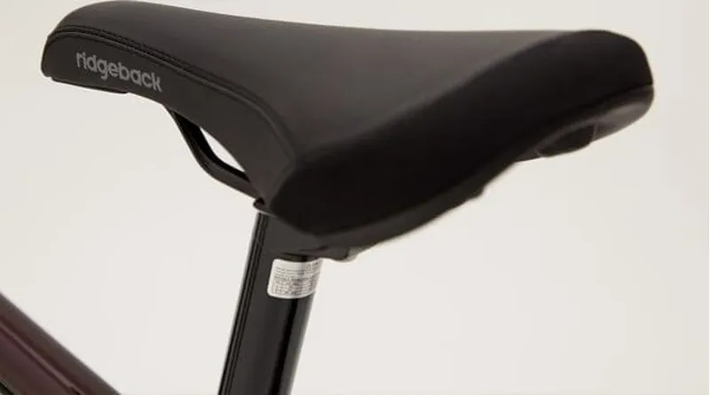 Ridgeback Dimension 24 Kids Bike in Plum-6